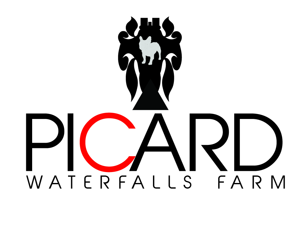Logo Design by Bow Tie Kreative for Picard Waterfall Farm (non commercial) | Design #3577564