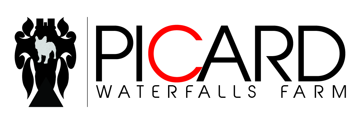 Logo-Design von Bow Tie Kreative für Picard Waterfall Farm (non commercial) | Design #3577577