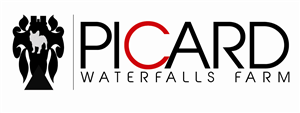 Logo Design by Bow Tie Kreative for Picard Waterfall Farm (non commercial) | Design: #3577577