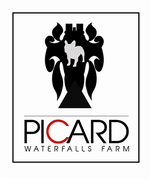 Logo Design by Bow Tie Kreative for Picard Waterfall Farm (non commercial) | Design: #3577580