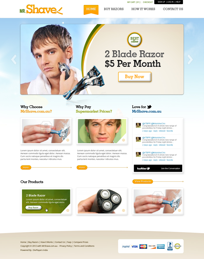 Web Design by the-lion-king for this project | Design #894954