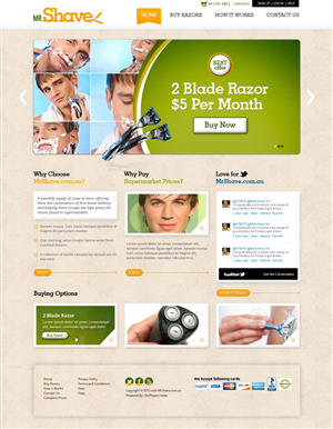 Diseño Web por the-lion-king para este proyecto | Diseño: #897225