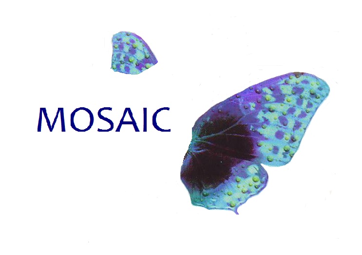 Logo Design by kuan for this project | Design #888074