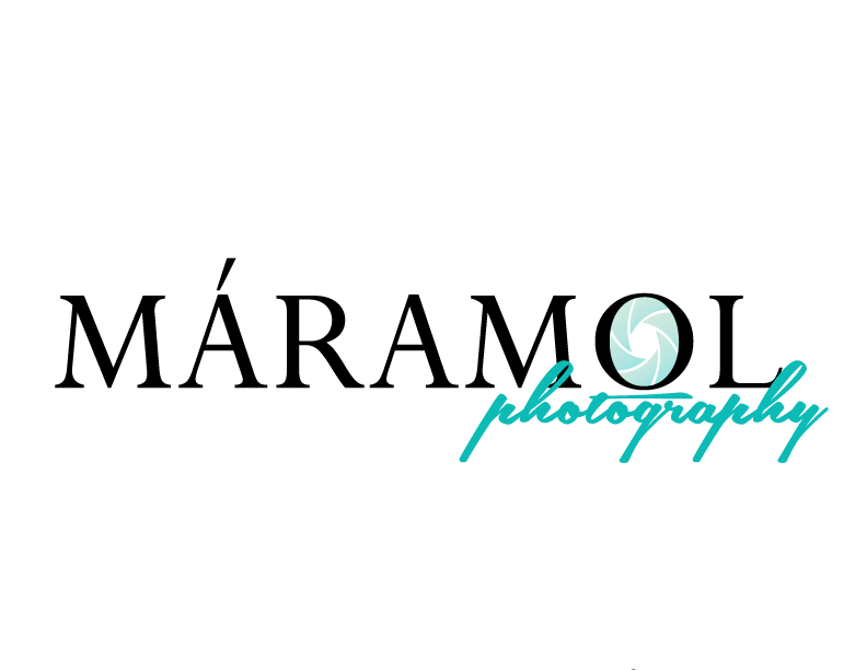 Logo Design by jenny28 for this project | Design #3491574