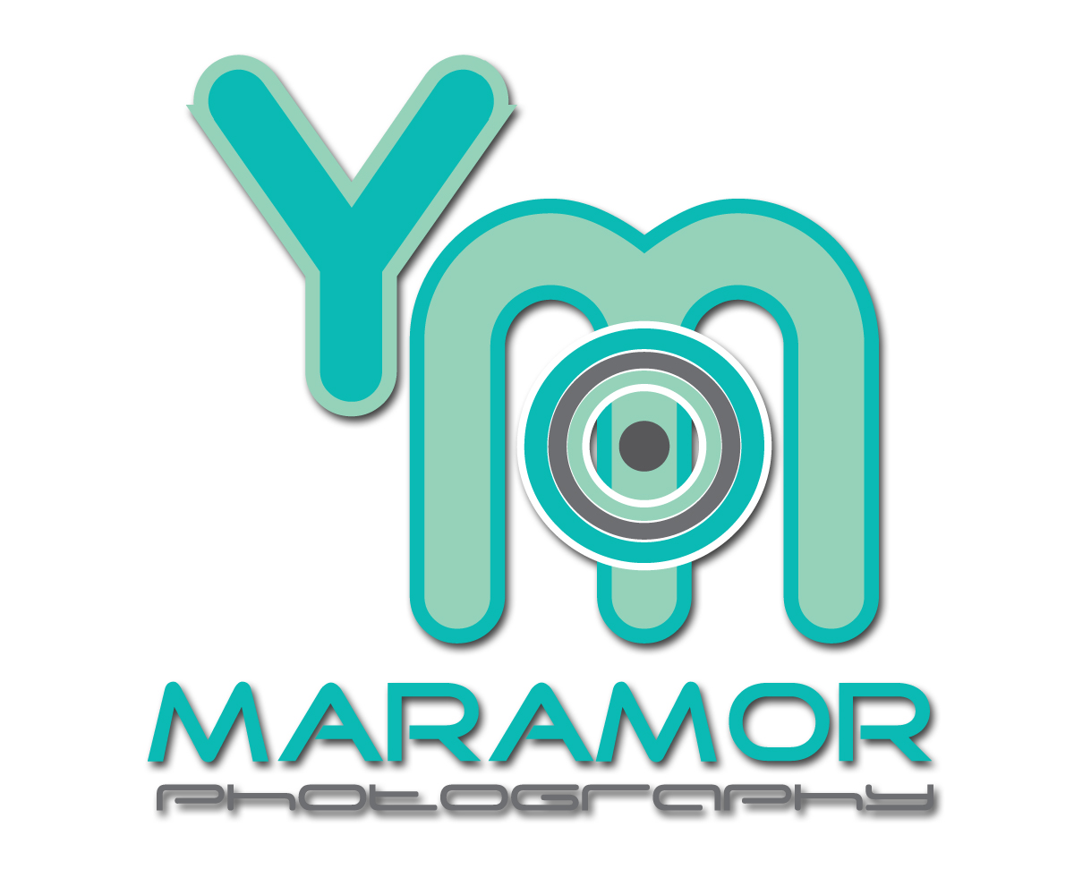 Logo Design by DreamTiger Lee for this project | Design #3529374