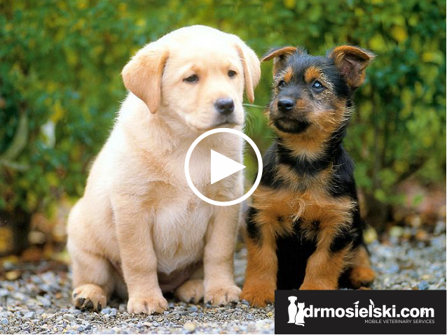 Logo Design by Piers for this project | Design #3538412