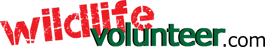 Logo Design by hnd. for Volunteer Wildlife Pty Ltd | Design #3610710