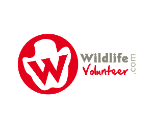 Logo Design by ModifyWeb for Volunteer Wildlife Pty Ltd | Design: #3539889