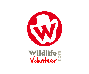 Logo Design by ModifyWeb for Volunteer Wildlife Pty Ltd | Design: #3539930
