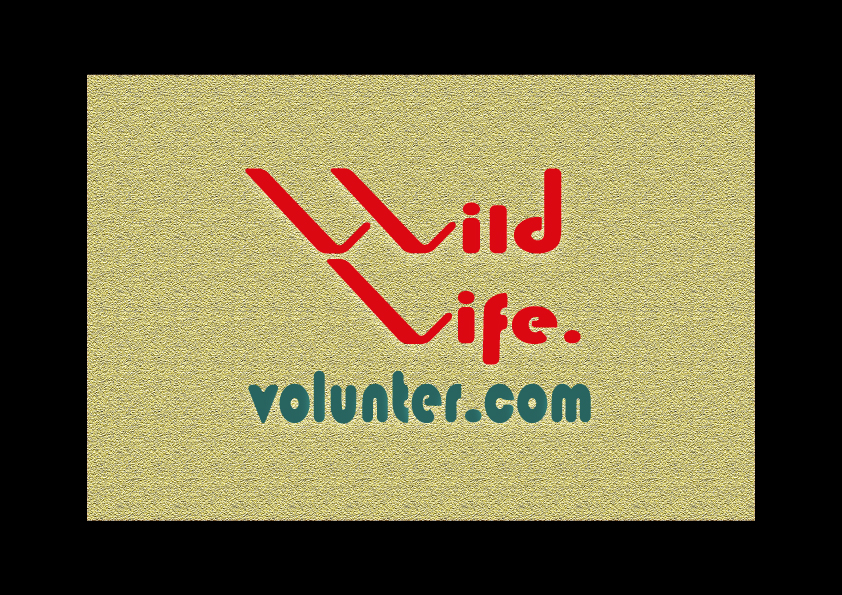 Logo Design by sungur10 for Volunteer Wildlife Pty Ltd | Design #3541546