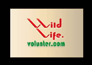 Logo Design by sungur10 for Volunteer Wildlife Pty Ltd | Design: #3541565