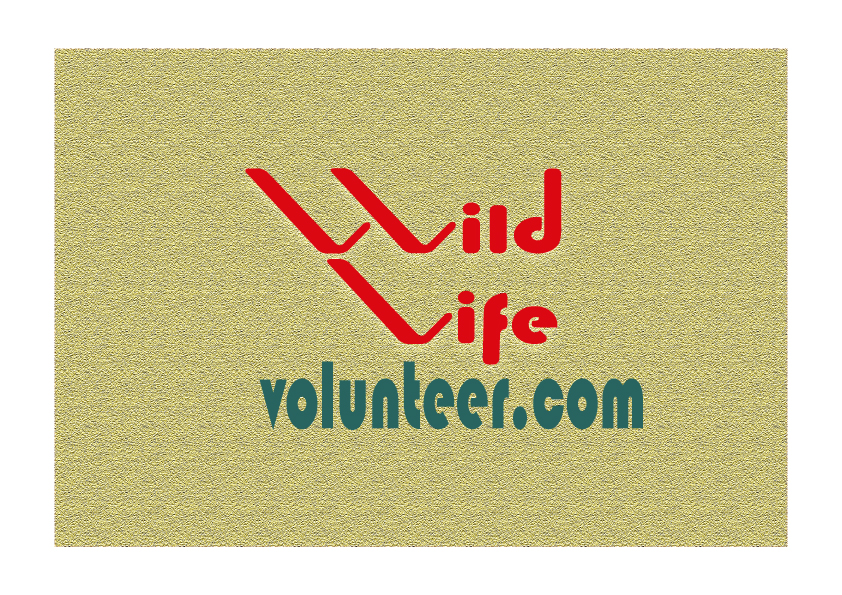 Logo Design by sungur10 for Volunteer Wildlife Pty Ltd | Design #3545072