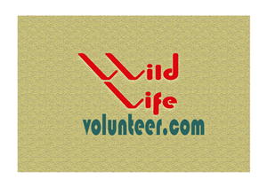 Design de Logo par sungur10 pour Volunteer Wildlife Pty Ltd | Design #3545072