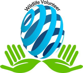 Logo Design by bhaskarsrinet for Volunteer Wildlife Pty Ltd | Design #3538626