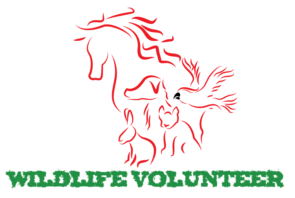 Design de Logo par chandankumarchappa pour Volunteer Wildlife Pty Ltd | Design #3527132