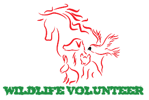 Design de Logo par chandankumarchappa pour Volunteer Wildlife Pty Ltd | Design #3527132