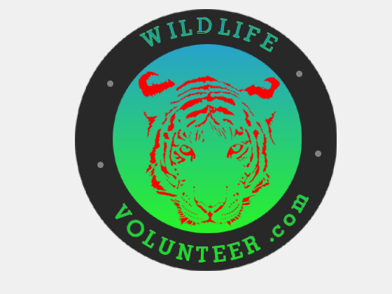 Logo Design by wrathdread for Volunteer Wildlife Pty Ltd | Design #3532490