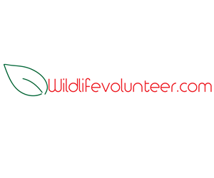 Logo Design by Amanda V.