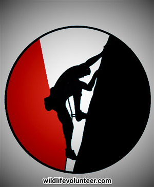 Logo Design by daudjihad