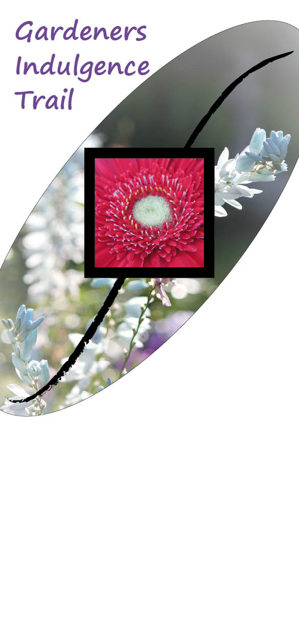Print Design par NetworkSW Consulting pour ce projet | Design #917807