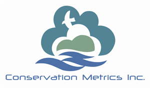 Logo Design by Baci