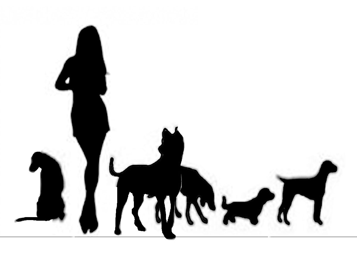 Design de Logo par Silversurfer99 pour ce projet | Design #3491363