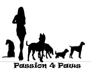 Design de Logo par Silversurfer99 pour ce projet | Design #3497077