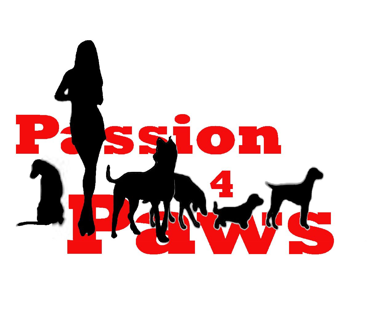 Logo Design by Silversurfer99 for this project | Design #3497085