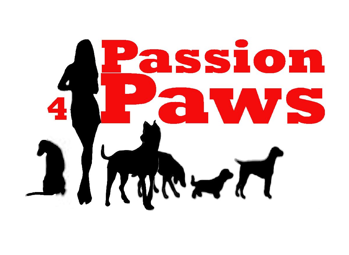 Logo Design by Silversurfer99 for this project | Design #3497091