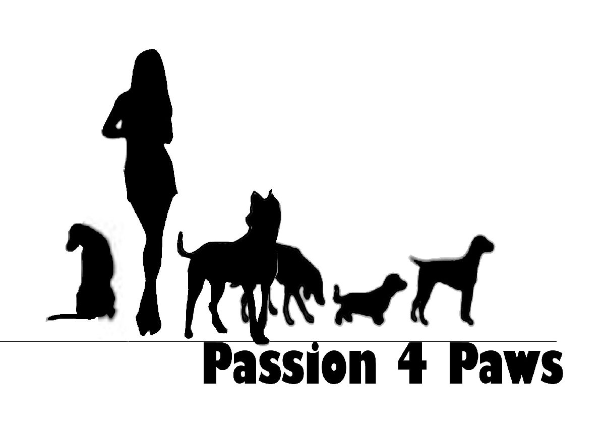 Logo Design by Silversurfer99 for this project | Design #3497094