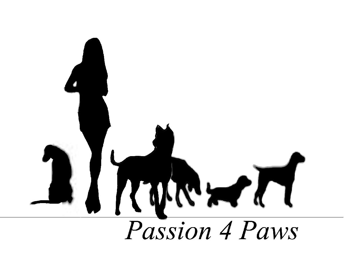 Logo Design by Silversurfer99 for this project | Design #3497336