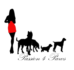 Logo Design by Silversurfer99 for this project | Design: #3498563