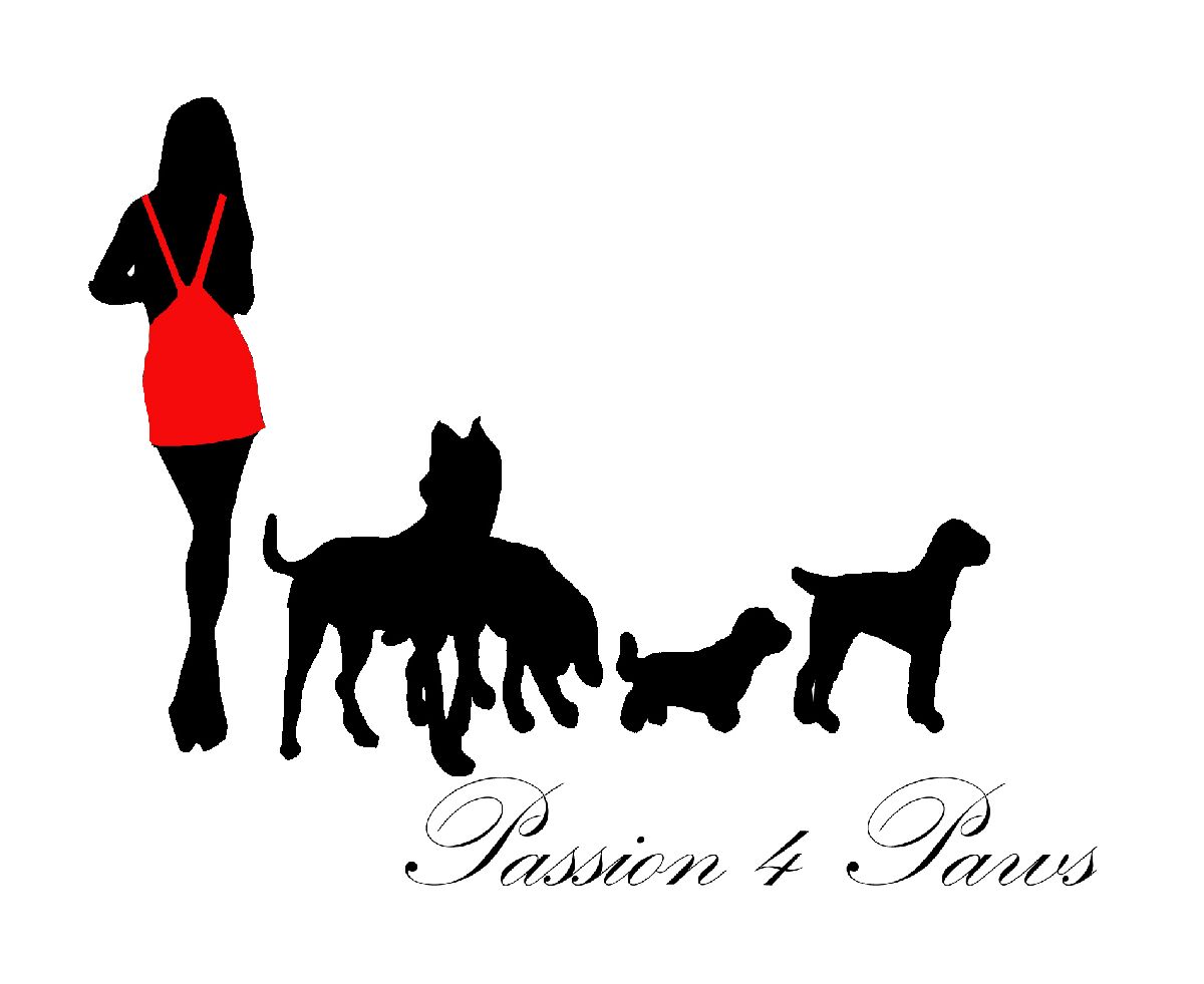 Logo Design by Silversurfer99 for this project | Design #3505495