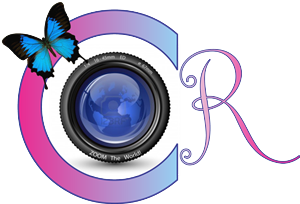 Design de Logo par Andre pour ce projet | Design : #881325
