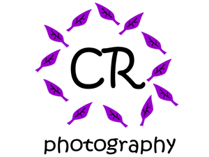 Logo Design by gio88