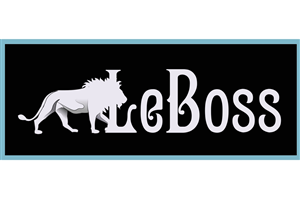 Logo Design by nsa51southwest