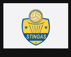 Logo-Design von alizainbarkat für STNA | Design: #3554459