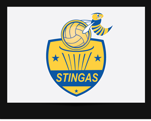 Logo-Design von alizainbarkat für STNA | Design: #3554472