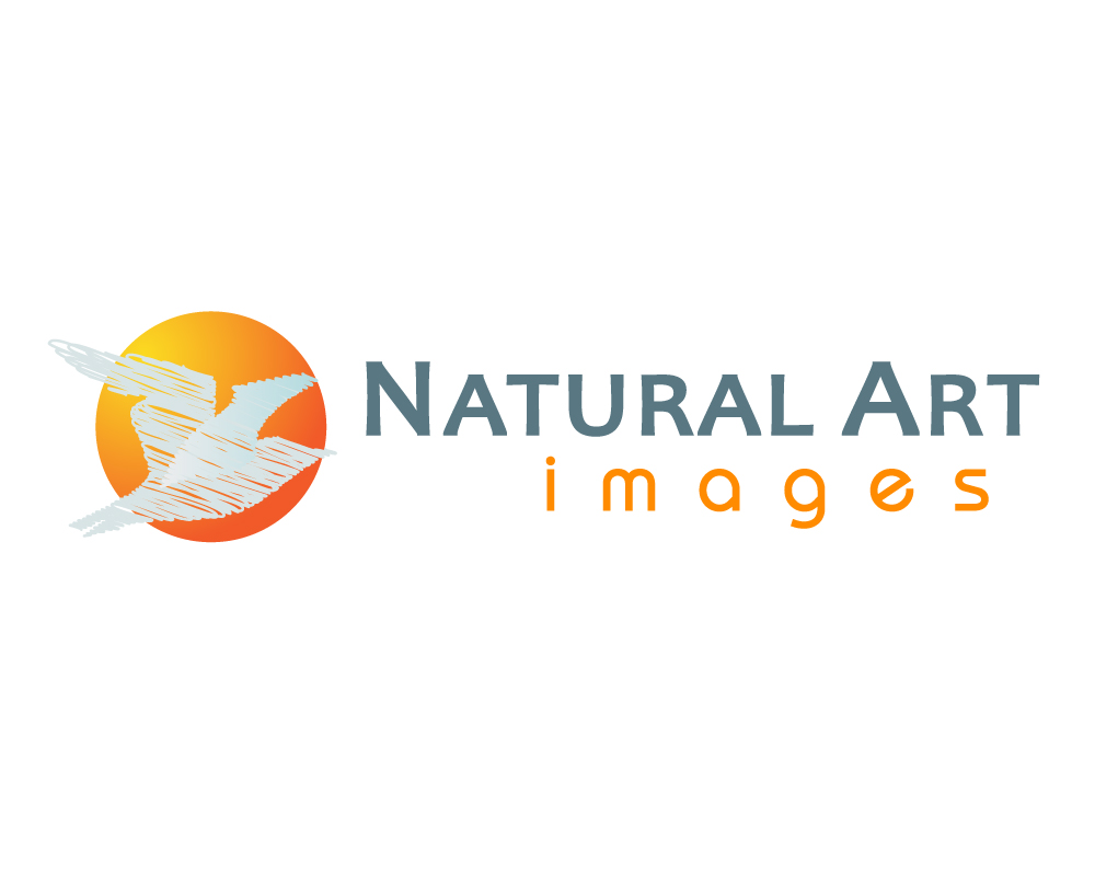 Logo Design by briliana for this project | Design #904706