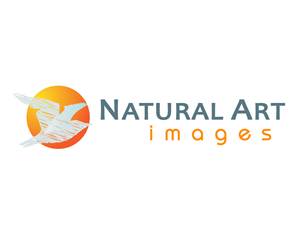 Logo Design by briliana for this project | Design: #904706