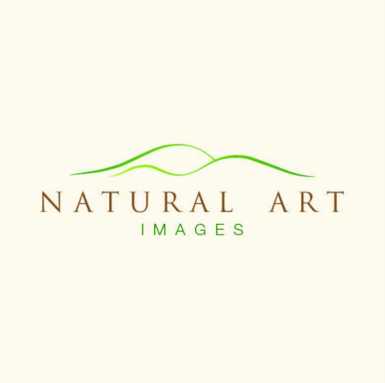 Logo Design by Design Possibilities for this project | Design #892178