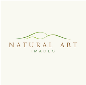 Logo Design by Design Possibilities for this project | Design: #892178