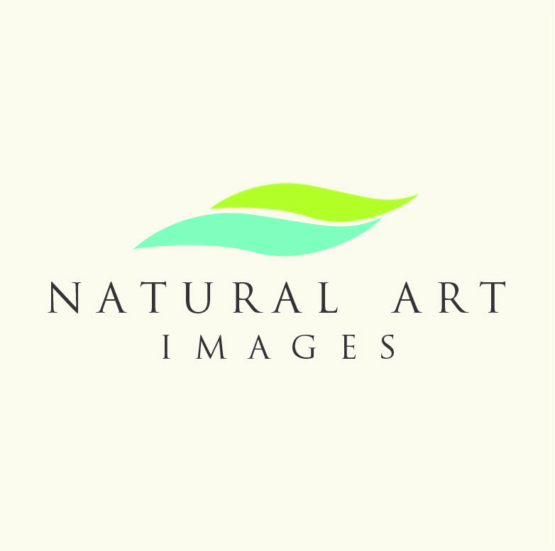 Logo Design by Design Possibilities for this project | Design #892195