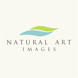 Logo Design by Design Possibilities for this project | Design: #892195