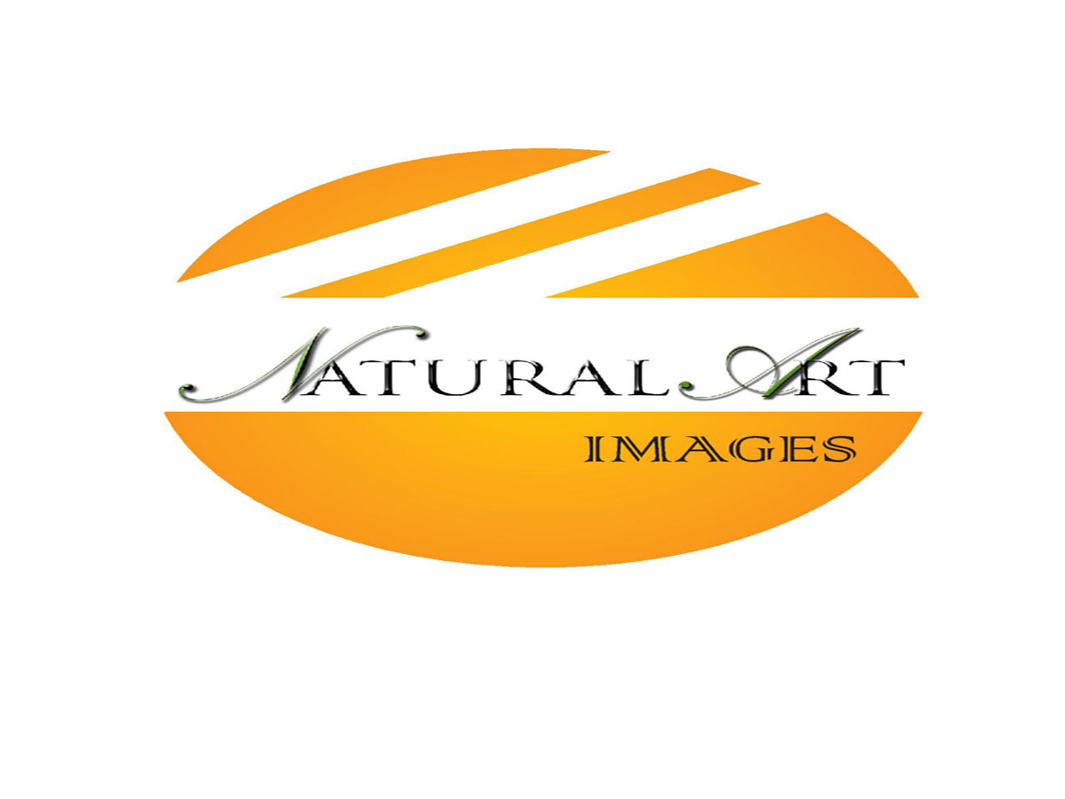 Logo-Design von poojitha sreekanti für dieses Projekt | Design #885015