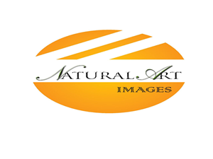 Logo Design by poojitha sreekanti for this project | Design: #885015