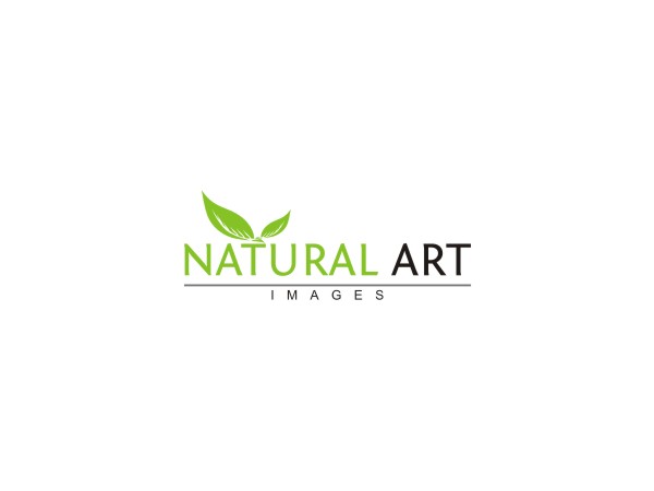 Logo Design by rastf2day for this project | Design #883014