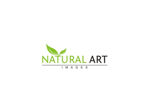Logo Design by rastf2day