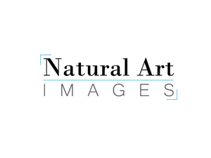 Logo Design by Nick M Design for this project | Design: #889818