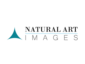 Logo Design by Nick M Design for this project | Design: #890390